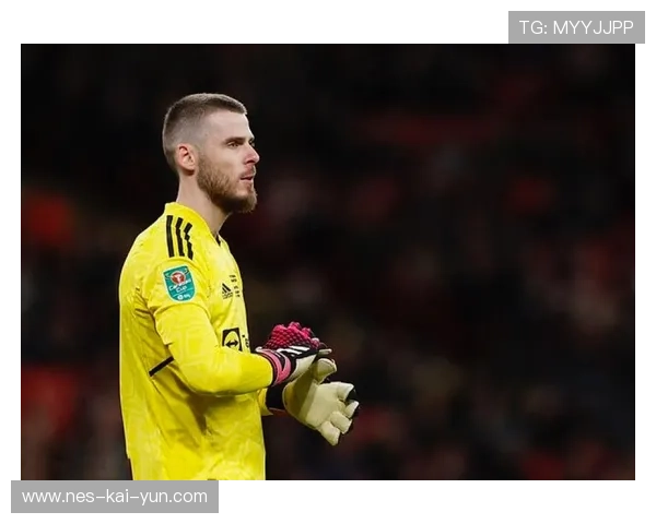 西班牙球员赫佐尼亚可能重返NBA,NBA球队对其感兴趣,西班牙队门将德赫亚 西班牙球员赫佐尼亚可能重返NBA,NBA球队对其感兴趣,西班牙队门将德赫亚